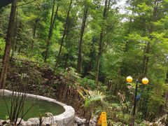 -中铁花水湾四季温泉谷