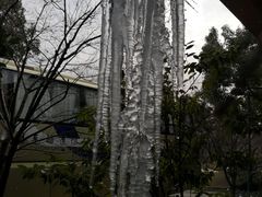 -西湖风景区-江洋畈生态公园