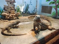 -石家庄市动物园