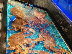 -忆江南·临江鱼馆