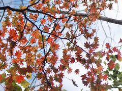 -丹东天桥沟景区