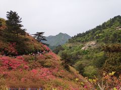-木兰云雾山