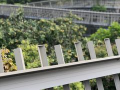 -福道