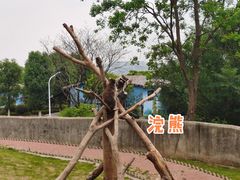 -安徽大青山野生动物世界