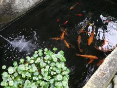 -临江宴餐厅·桐庐菜(富春江店)