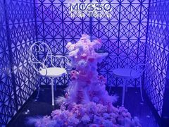 -MOSSO·Liveshow(M3香港广场店)