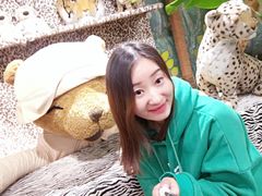 -济州岛泰迪熊博物馆