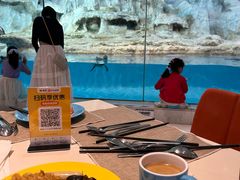 -帝企鹅自助餐厅•儿童岛•真企鹅(长隆企鹅酒店)