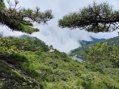-黄山风景区