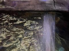 -嘉悦汗蒸时代(曙光路店)