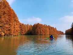 -上海海湾国家森林公园