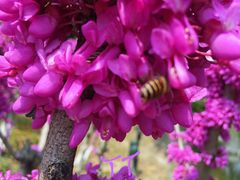 -白塘生态植物园