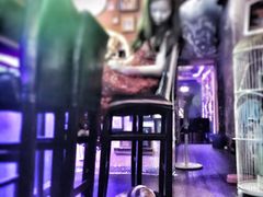星宿秘码咖啡小酒馆(星宿秘码)-星宿秘码(鼓浪屿老店)