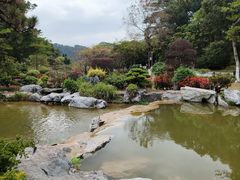 -东莞植物园