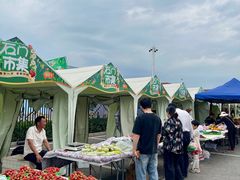 -顺鑫石门市场