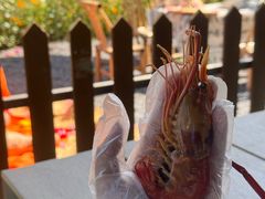 -丫丫蟹庄·苏式园林农家乐·阳澄湖大闸蟹(阳澄湖莲花岛店)