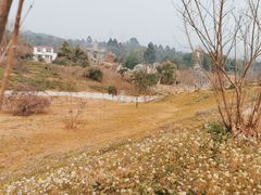 -都江堰玫瑰花溪谷