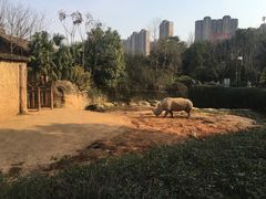 -南昌动物园