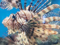 -福州罗源湾海洋世界旅游区