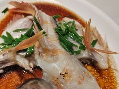 -虾饺妹·酒家(金碧店)