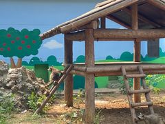 -石家庄市动物园