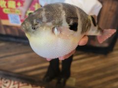 -永安鱼庄·镇江菜(丁卯店)