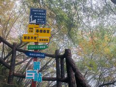 -秦岭终南山世界地质公园翠华山景区