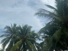 -海南清水湾莱佛士酒店