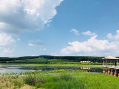 -塞罕坝国家级自然保护区