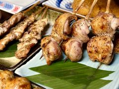 -鸟泉居酒屋·烧鸟·酒馆(百子湾店)