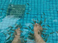 android_upload_pic-金色阳光温泉度假酒店宝景风味厅