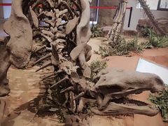 -自贡恐龙博物馆
