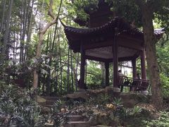 -杭州黄龙洞