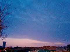 -祥源·阜阳生态乐园