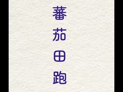 -能力风暴机器人编程中心
