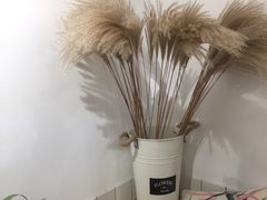 -白日梦奶茶