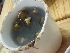 -广达眼镜炖罐(广达店)