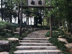 -杏花村文化旅游区