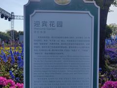 -荷兰花海