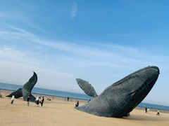 -烟台金沙滩海滨公园
