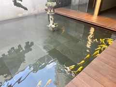 -觀芷隐轩