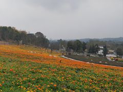 -三岔湖景区