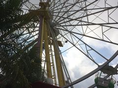 -麦当劳(海洋公园店)