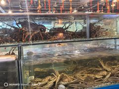-华威西营里农产品批发市场