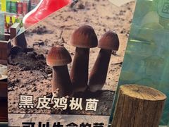-菌乡缘·野生菌蒸汽鱼火锅(江边夜市店)