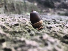 -南京市无想山景区