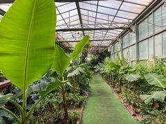 -呀路古热带植物园