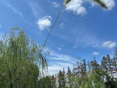 -前小桔亲子创意农场·草莓采摘·露营烧烤