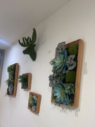 -丽时 Hair Salon