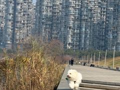 -长沙滨江文化园